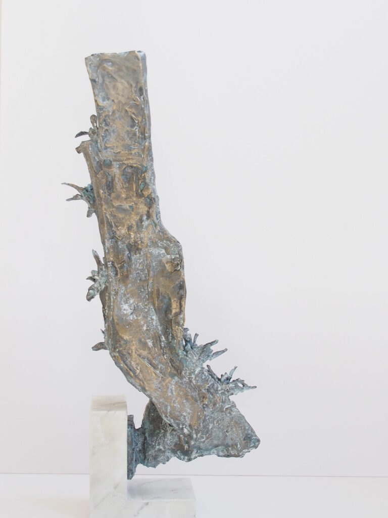 obra - Santiago Vito Lagrotteria