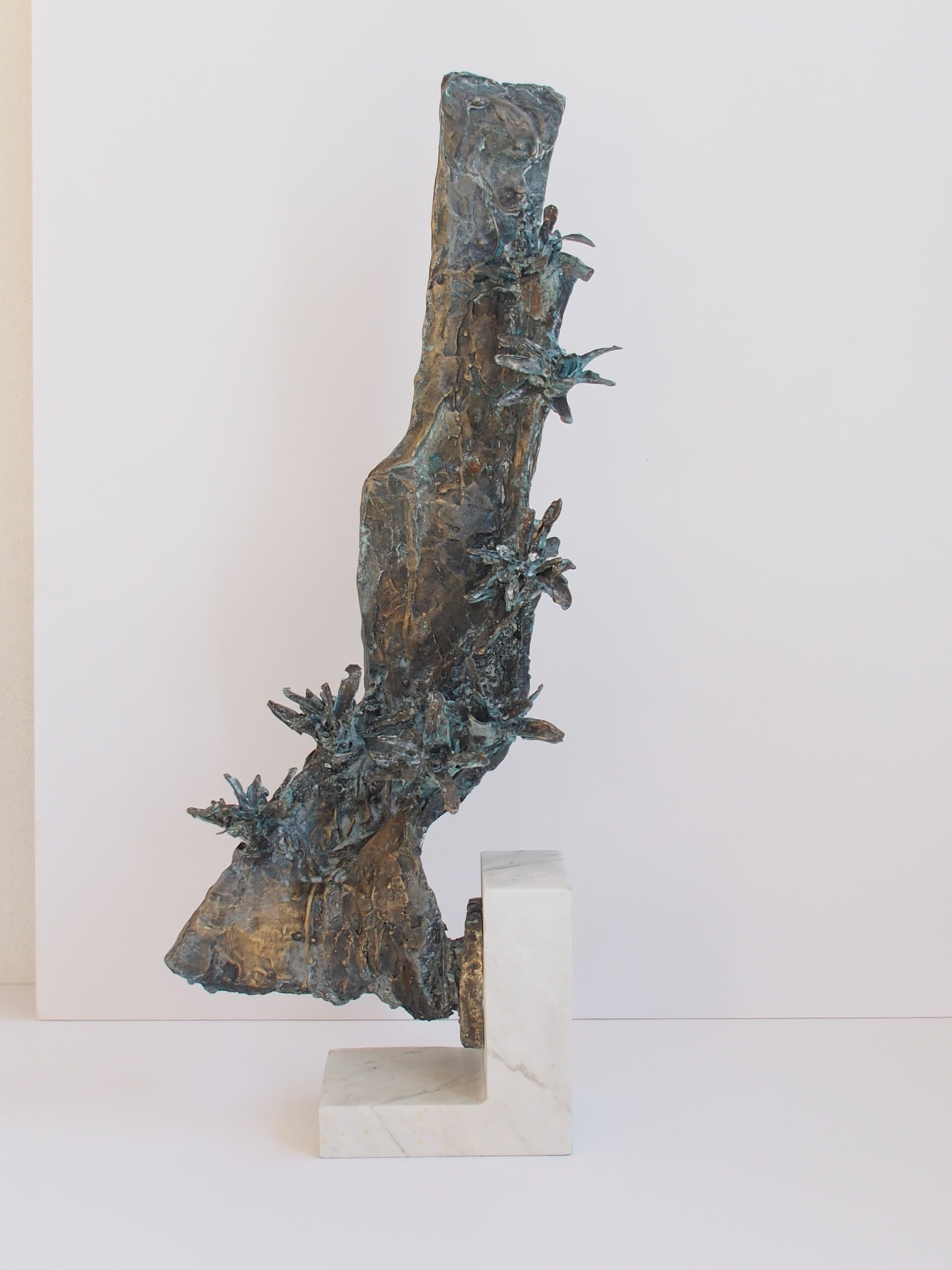 zapato