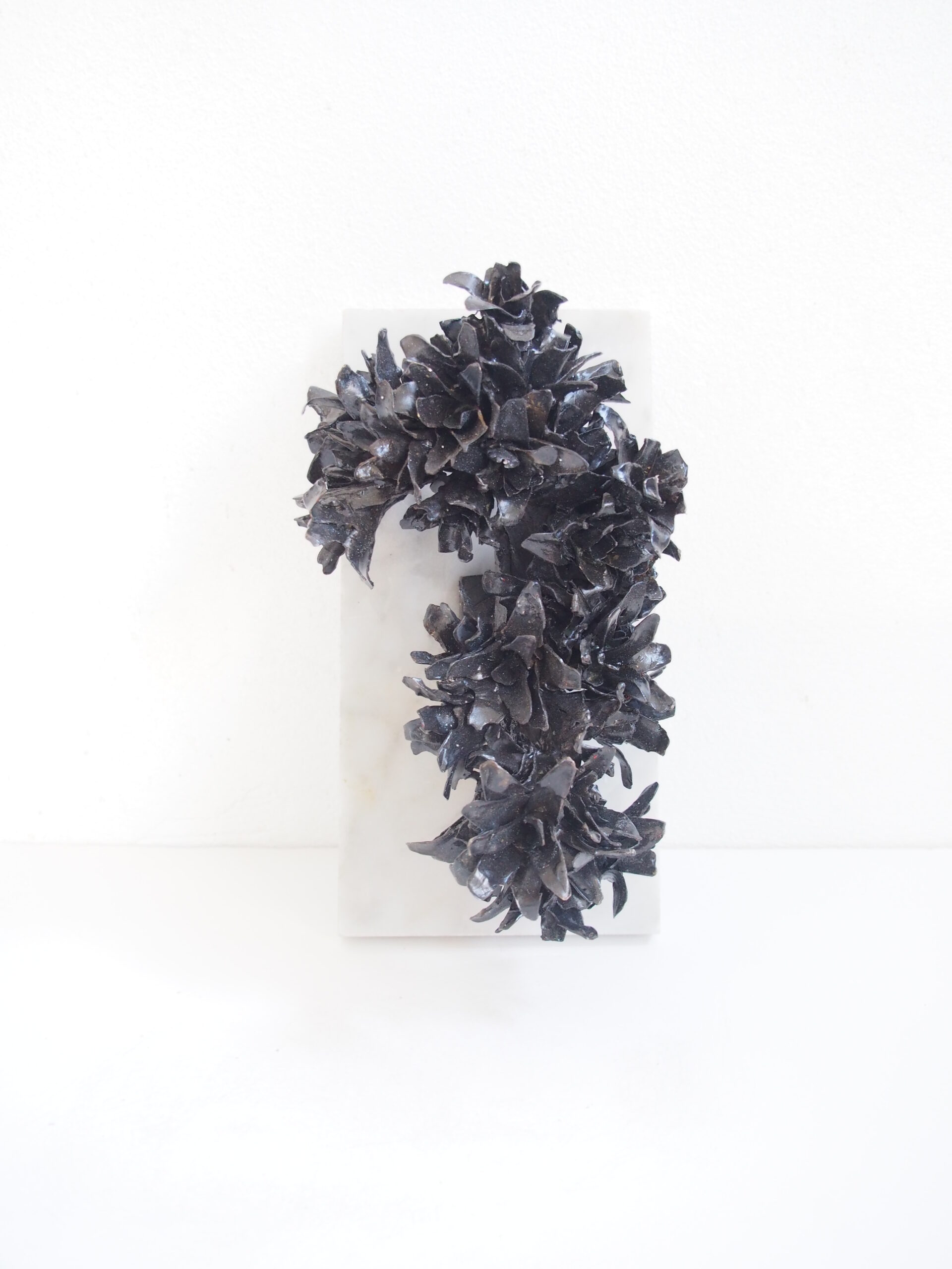 bouquet negro